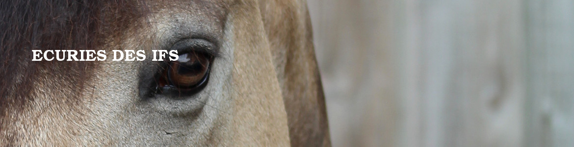 ECURIES DES IFS